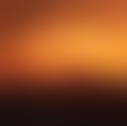 Did Illegals from the South Ignite the Fires in Texas?