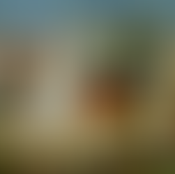 Thanksgiving Day Reflection