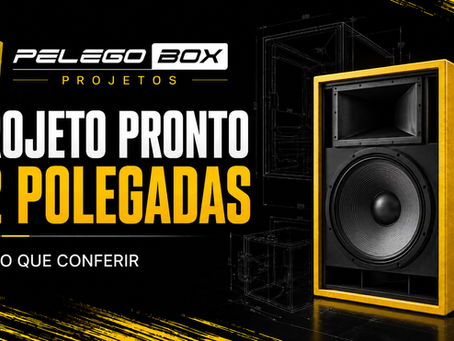Projeto pronto para caixa com alto-falante de 12 polegadas