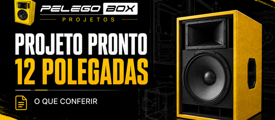 Projeto pronto para caixa com alto-falante de 12 polegadas
