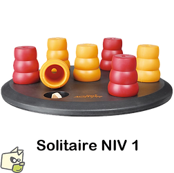 jeu intelligent solitaire.png