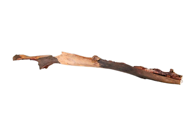 o nerf de boeuf 193246_PHO_PRO_CLIP_3134