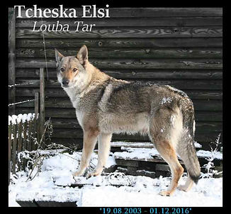 Tcheska.jpg