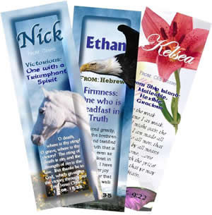 Miniatura: Bookmarker