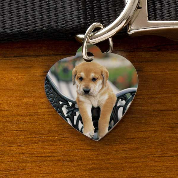 Miniatura: Personalized Pet Tags