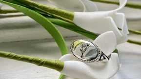 Delivery Day- June 13, 2022