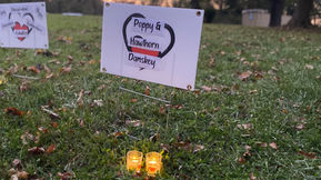 Wave of Light Takeaway