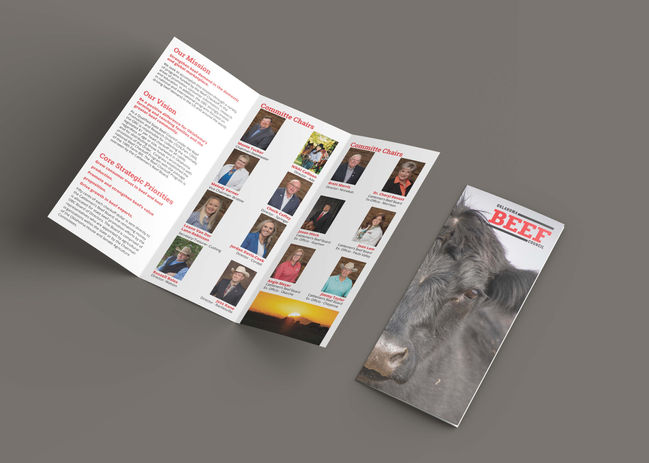 Brochure Mockup