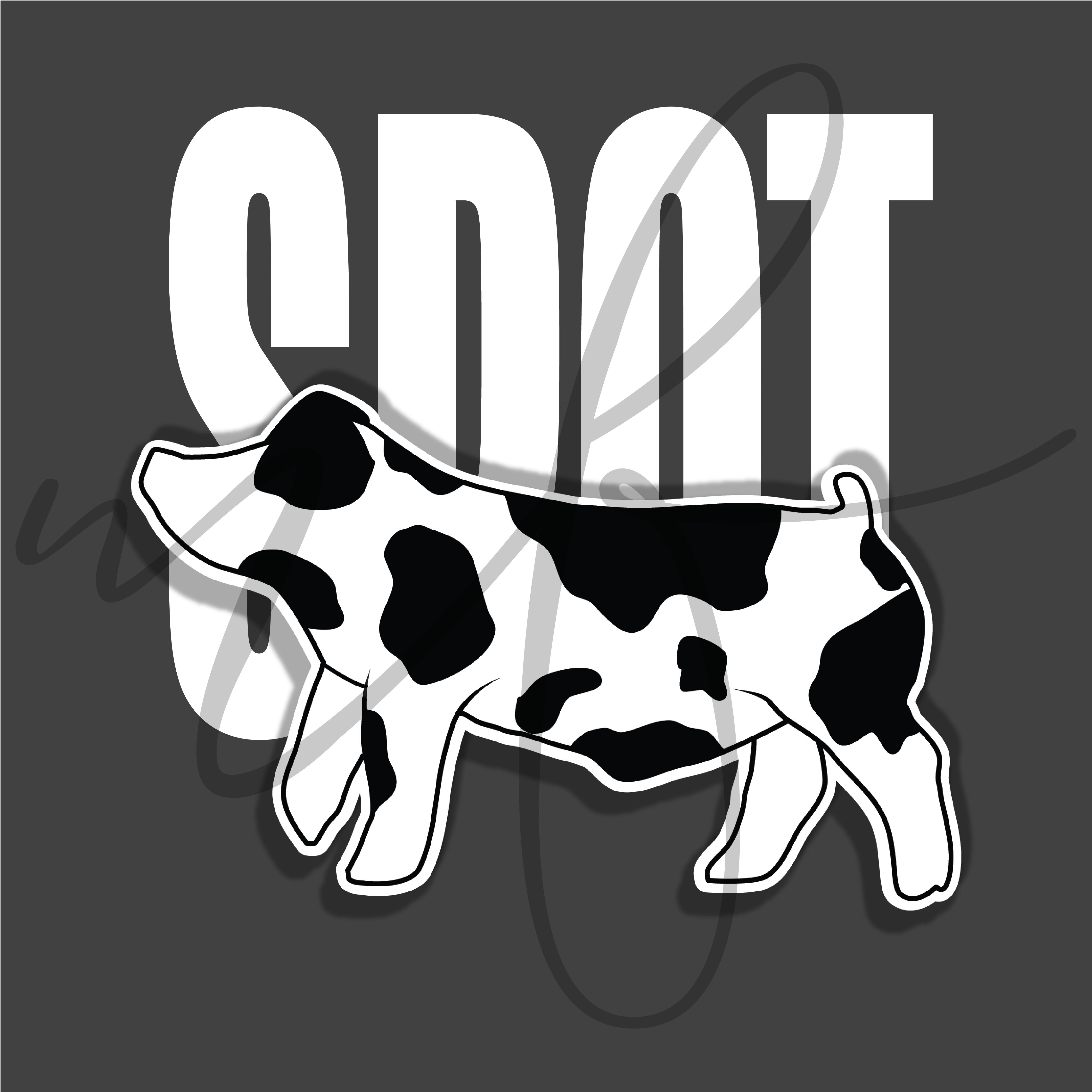 Spot Graphic