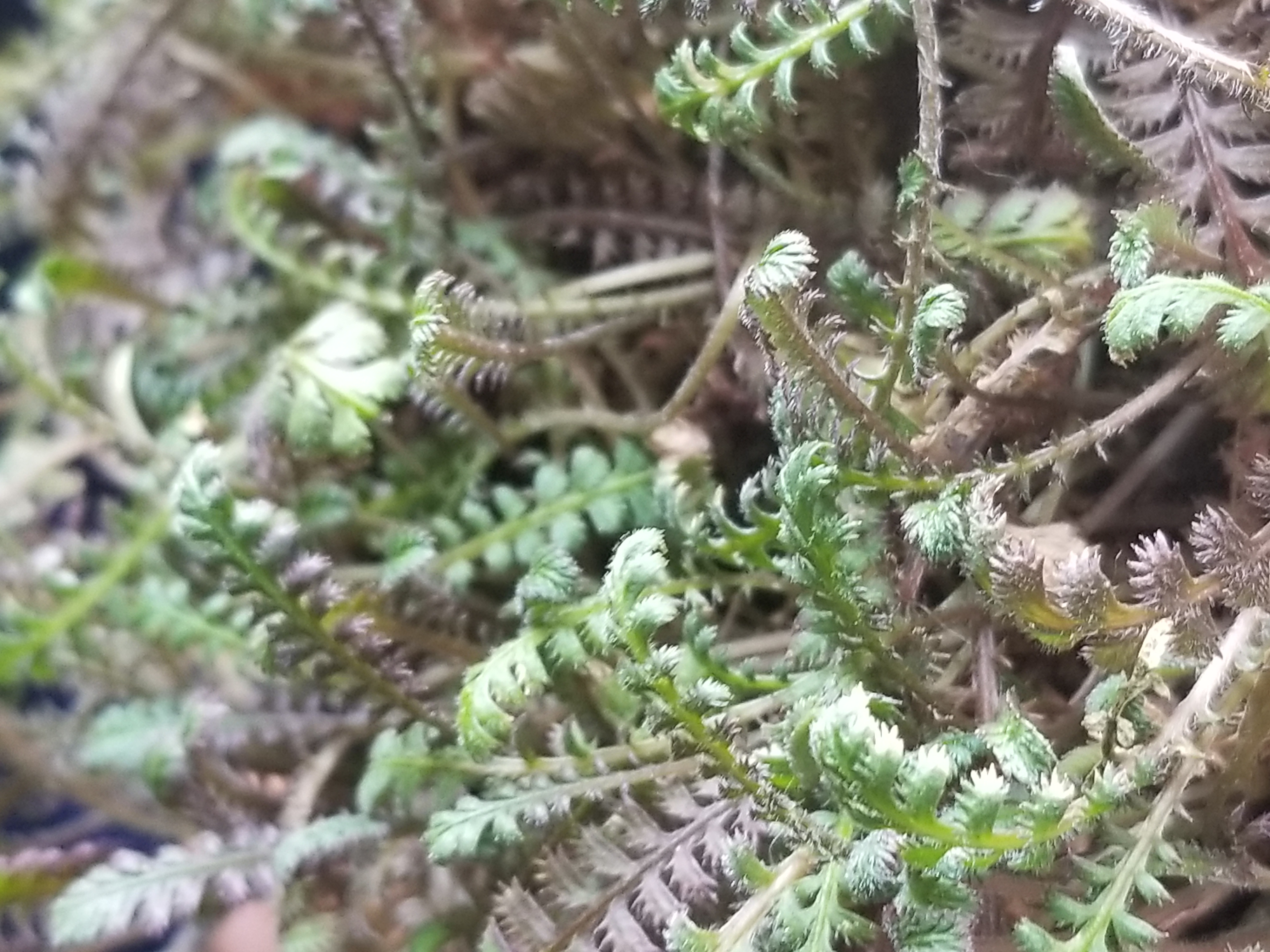 20190820_105025