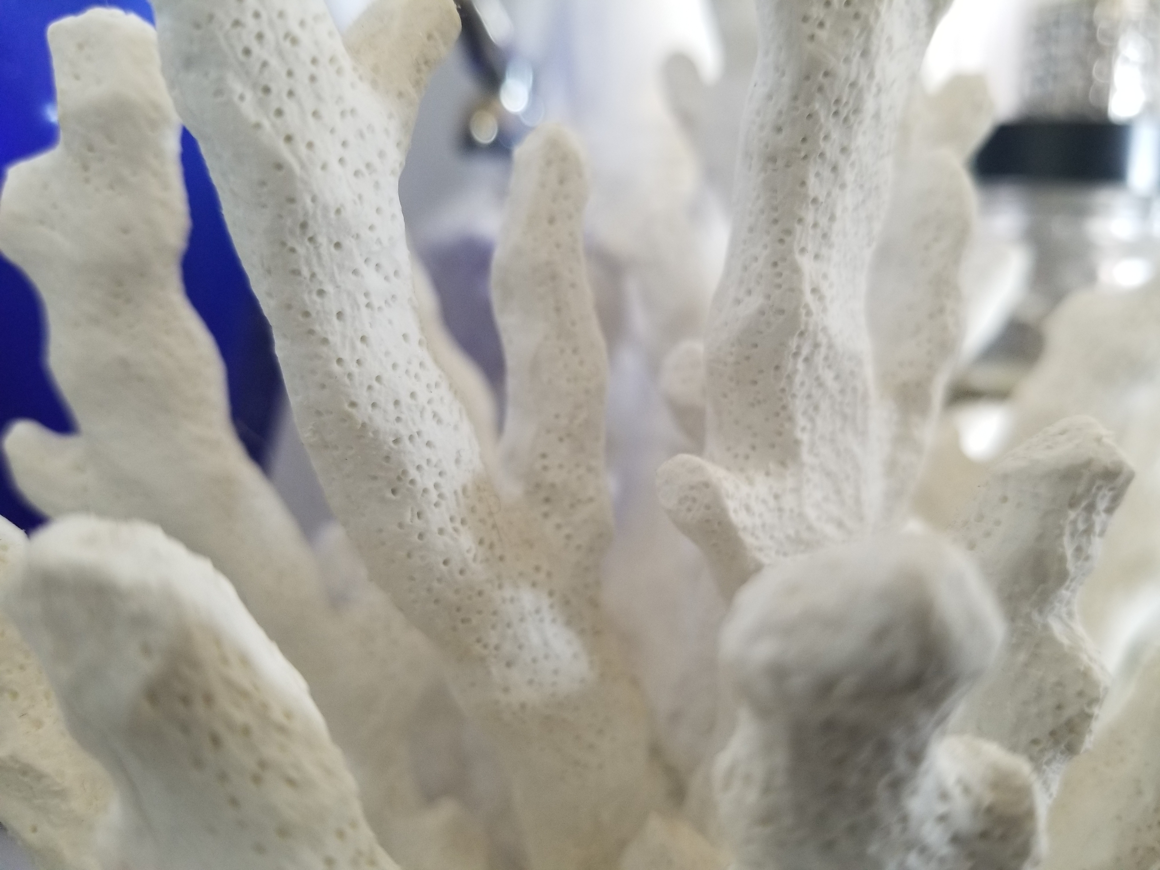 20190820_104155