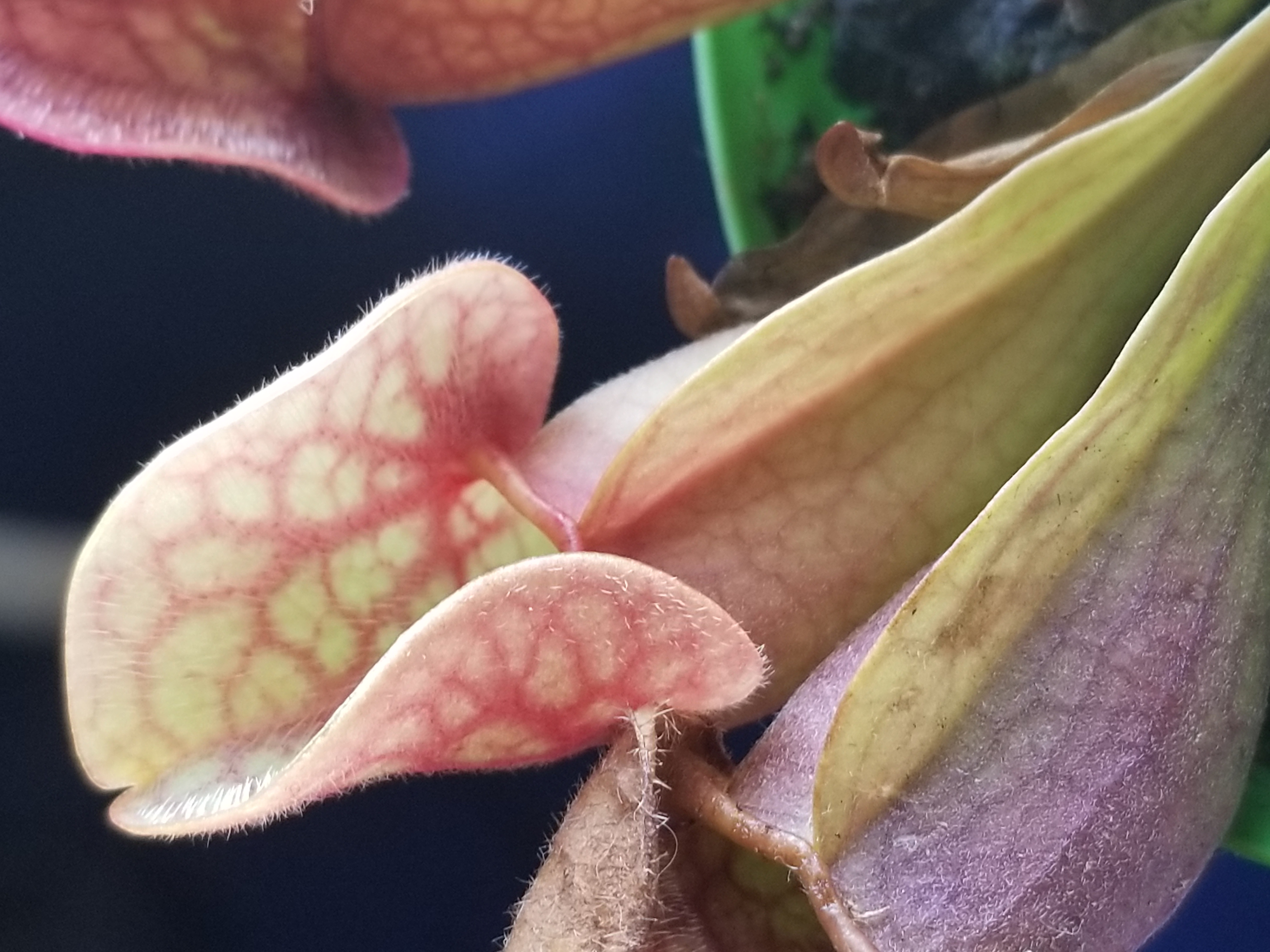20190820_105123