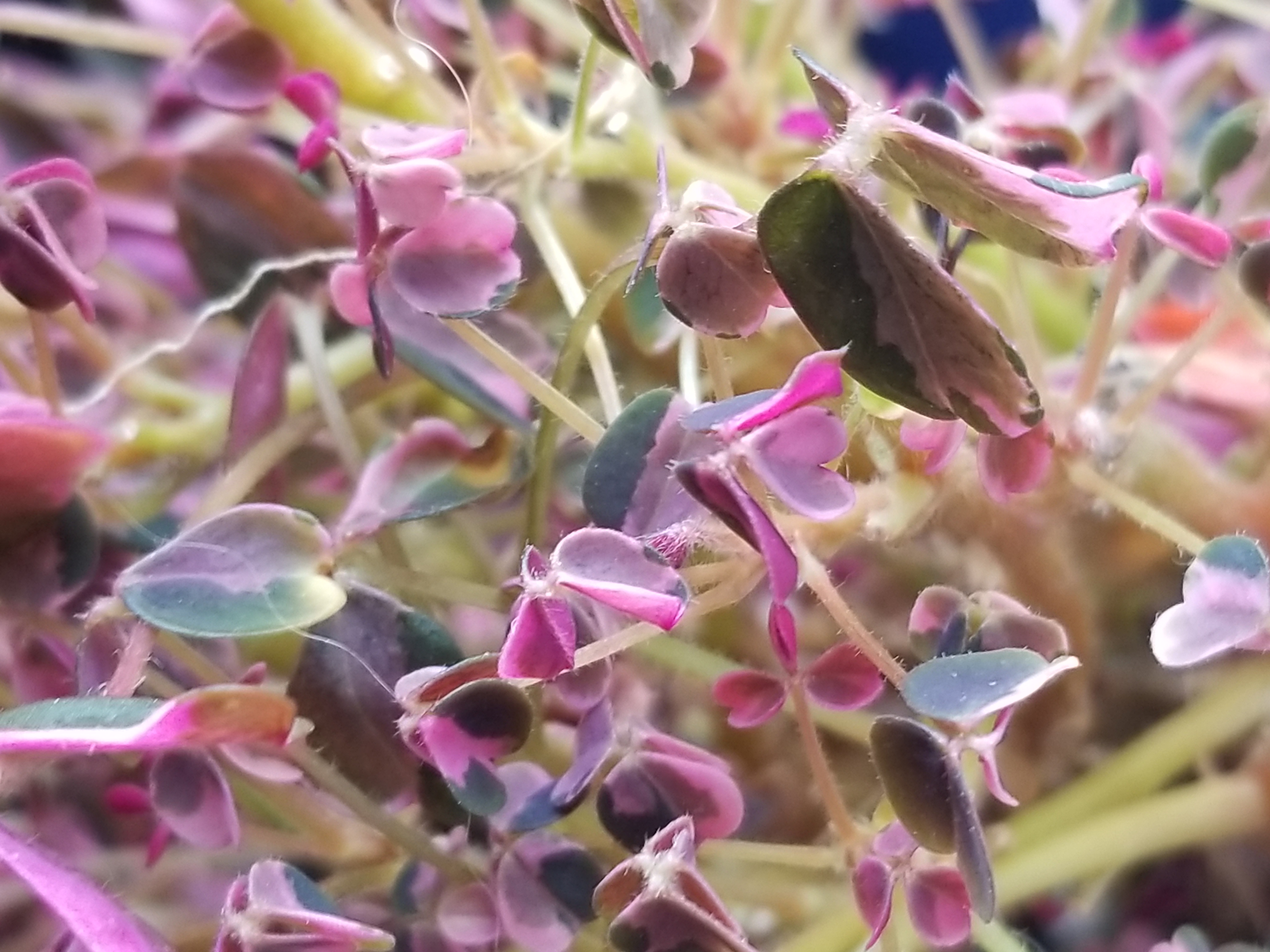 20190820_105012