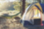 Wild Skills Weekend