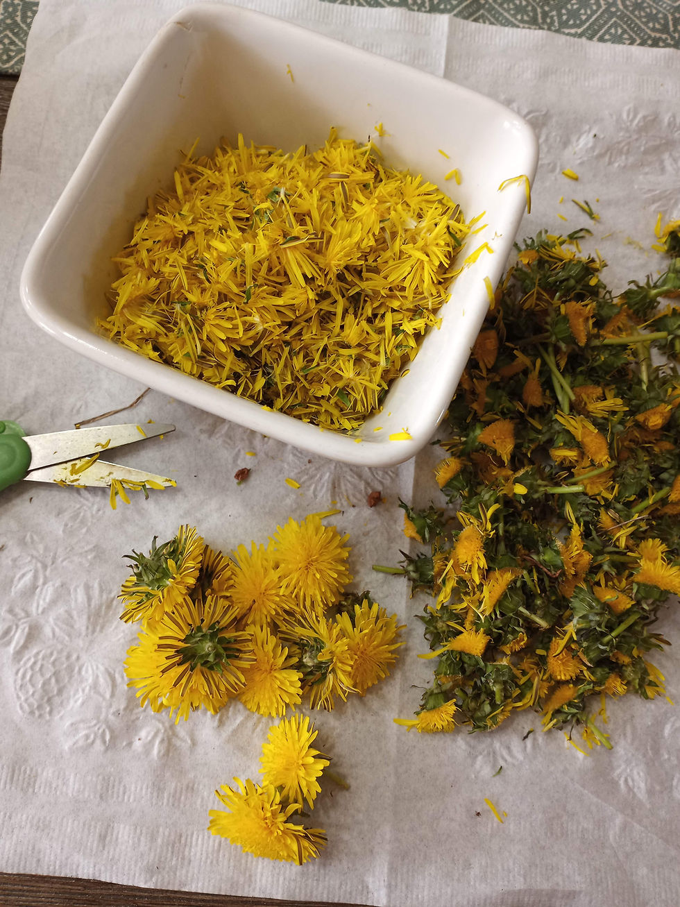 Thumbnail: Wild Eating With the Forager Chicks