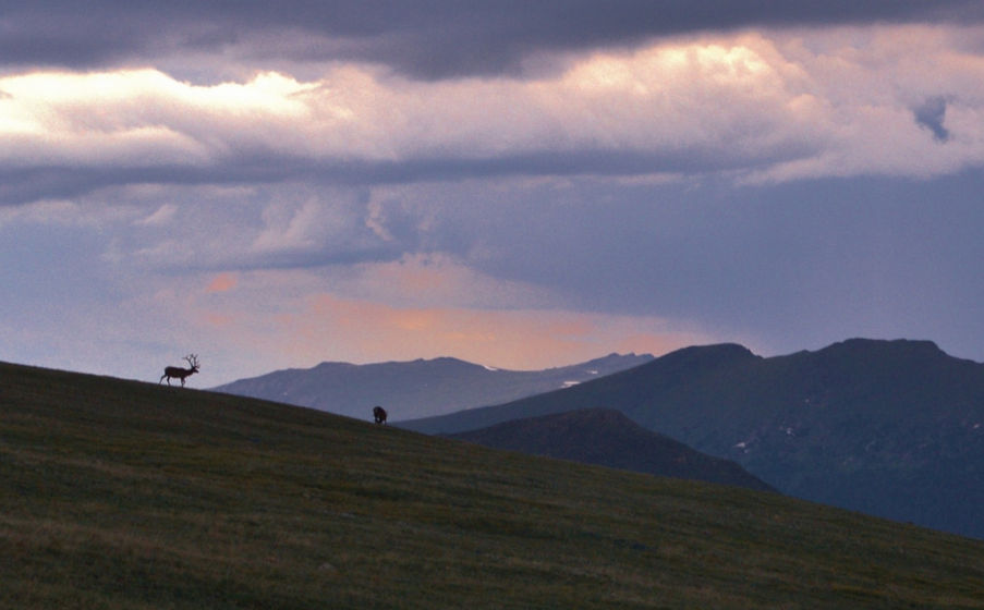 867%2525252520(2)_edited_edited_edited_edited_edited.jpg