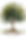 Rooted Trees 8_edited.png