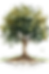 Rooted Trees 8_edited.png