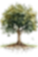 Rooted Trees 8_edited.png