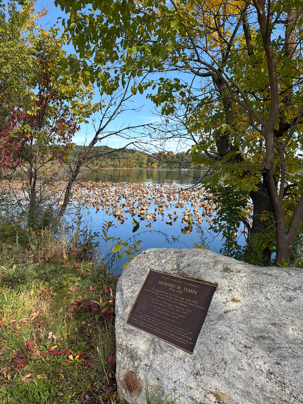 The stone plaque honoring 1975 Nobel laureate Howard Temin along the Lakeshore Path in Madison, WI