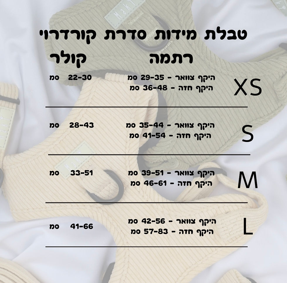 תמונה ממוזערת: סט 4 חלקים - קורדרוי צהוב לכלב 