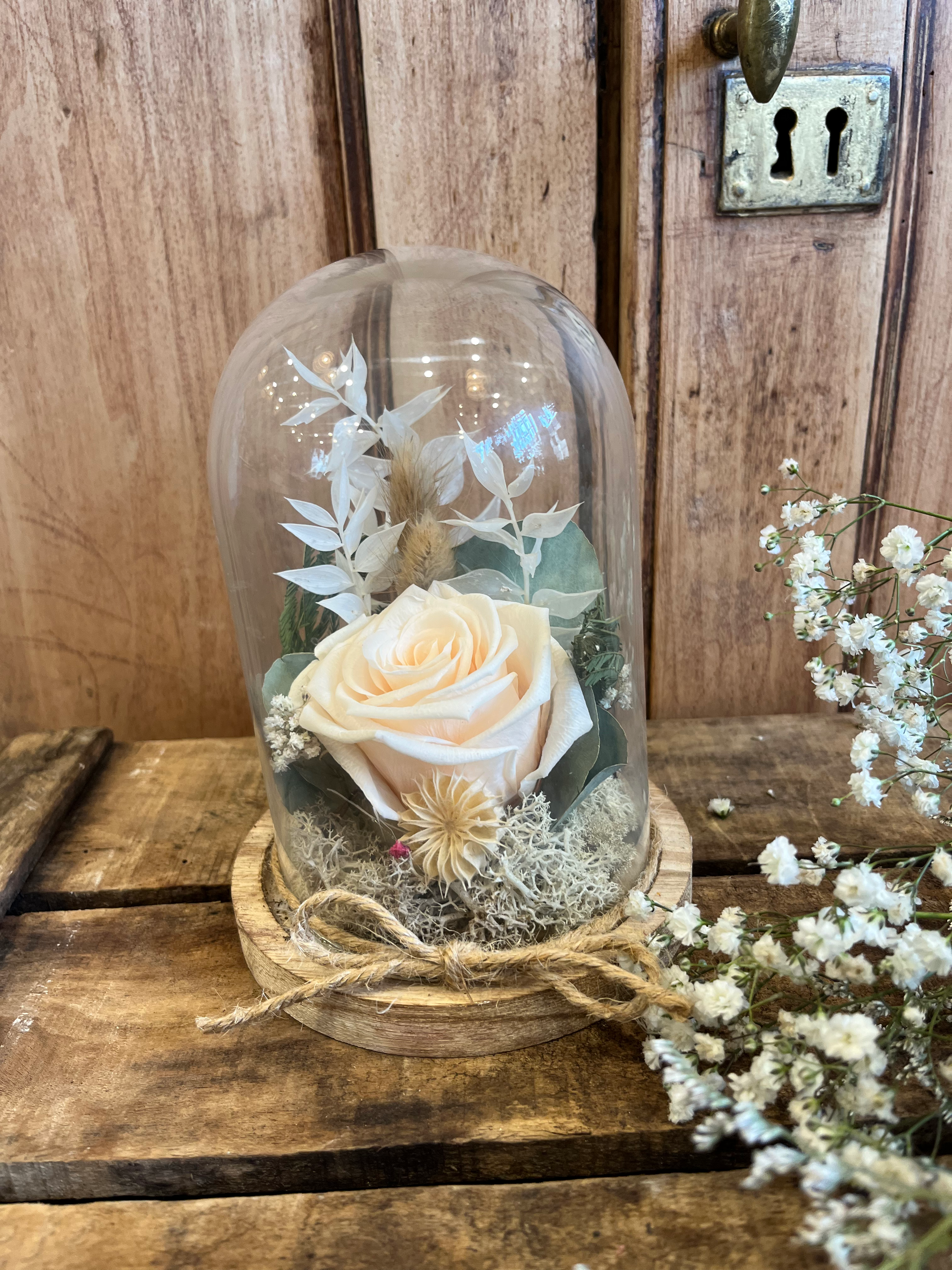 ROSE STABILISÉE CLOCHE I