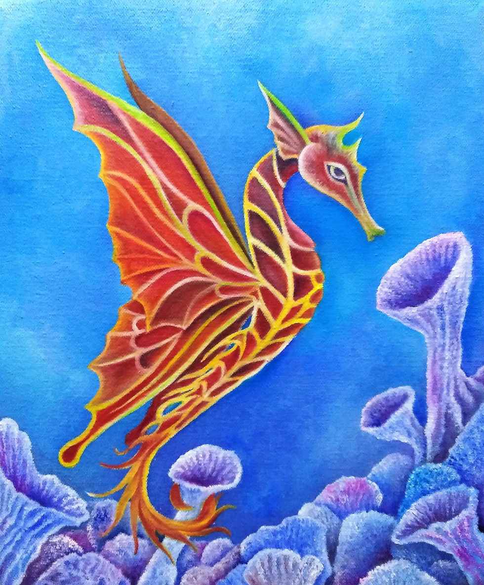 Hippocampus papilionem I