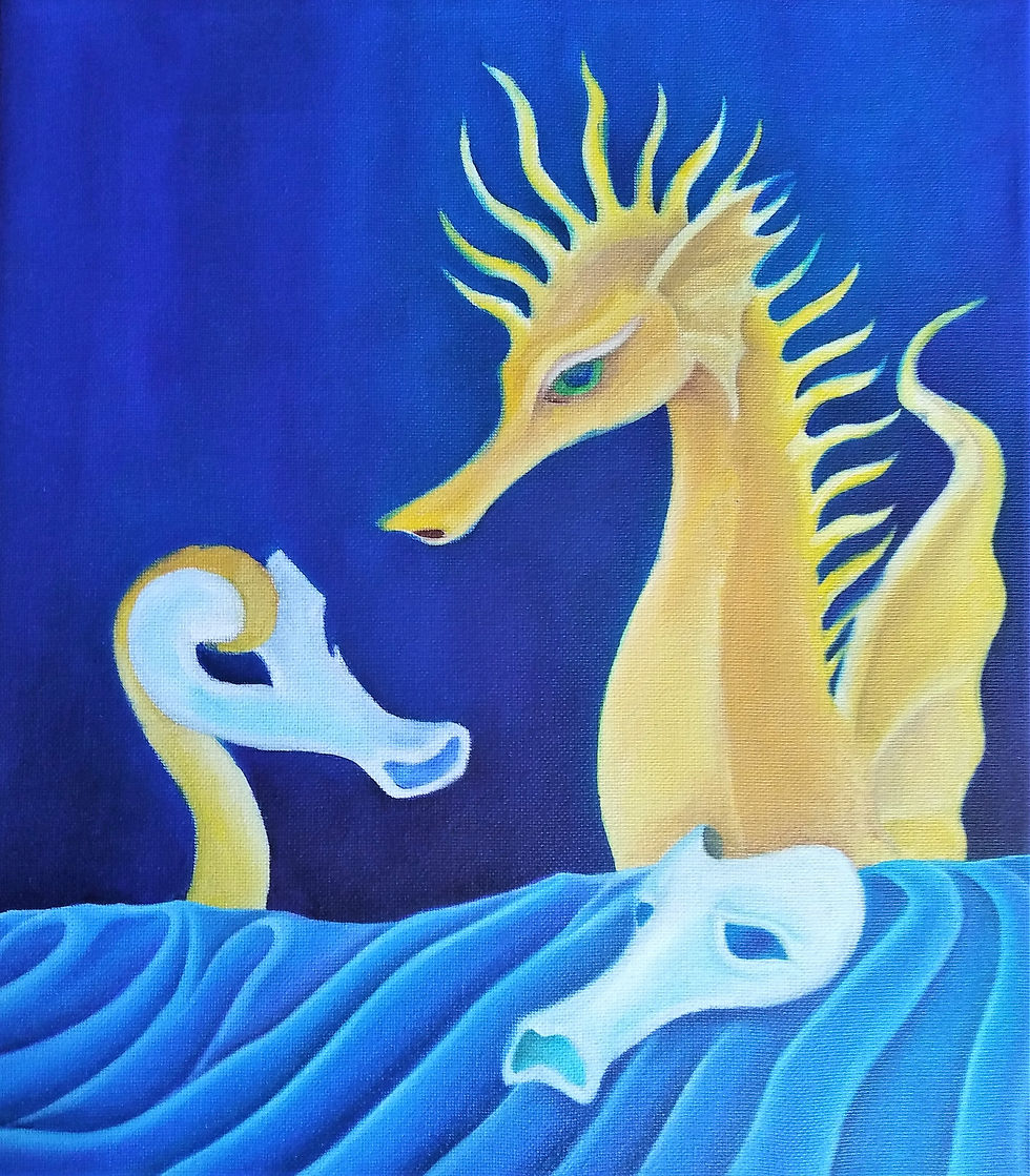 Hippocampus histrionicus I