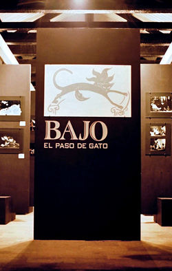 Bajo el paso de gato