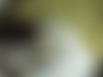 Braut mit weißem Kleid und Blumenstrauß auf einer Schaukel