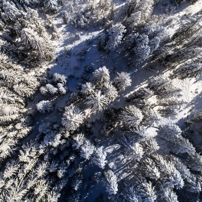 Vermieter_Bild 3 Winter©Ferienregion Nationalpark Hohe Tauern-min.jpg