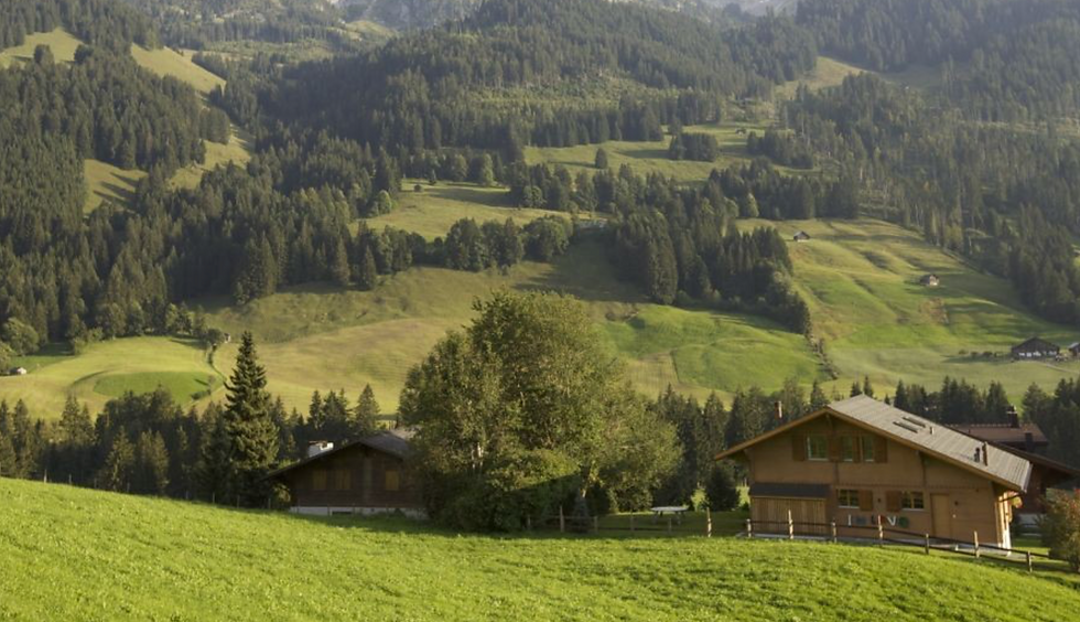 Screenshot 2025-04-09 at 01.01.19.png