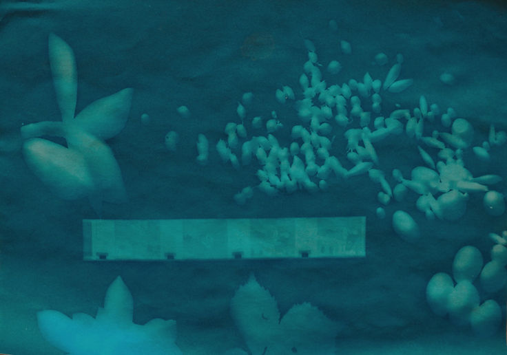 CYANO_edited_edited.jpg