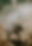 qingyu-Bxiv07EqZRM-unsplash.jpg