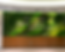 6e48e3e4c04762a12fcced11e10f65b_edited.png