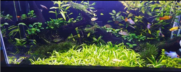 @rafa_engemec de Rio Verde - GO.png