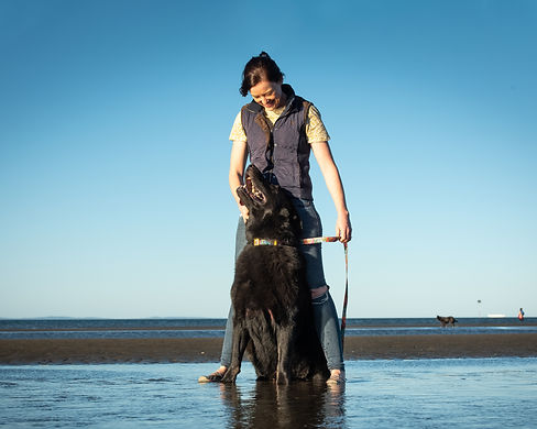 Doggy Hampers (Beach)-1080.jpg