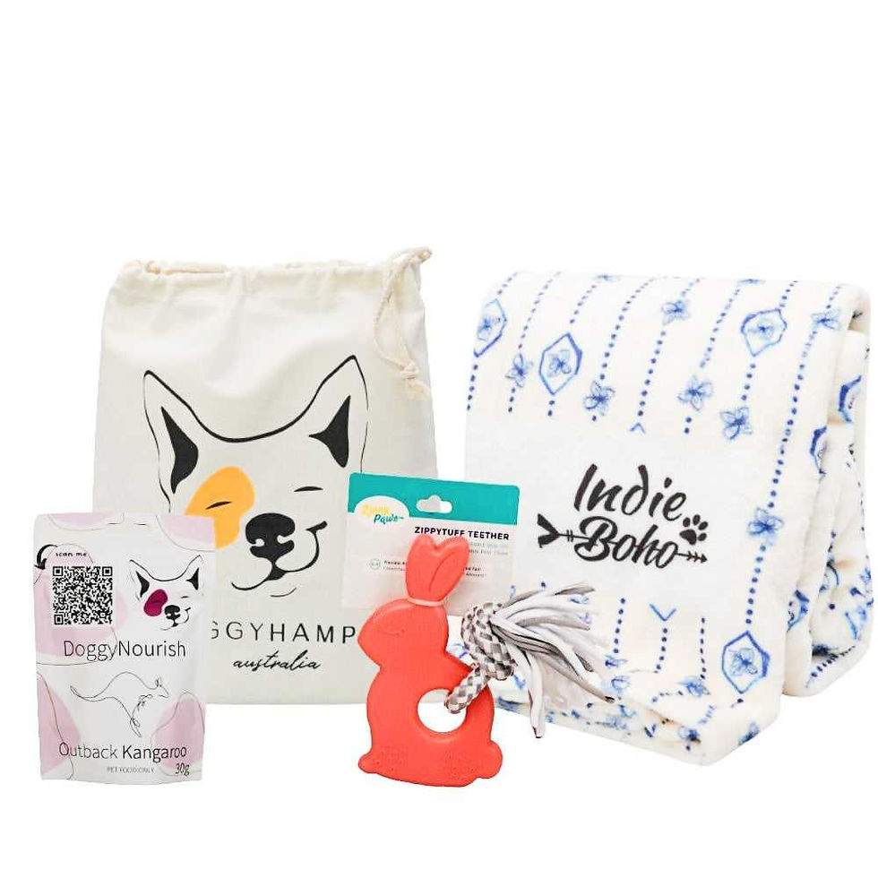 New Puppy - Must have go to for welcoming your first fur baby with the doggy store
