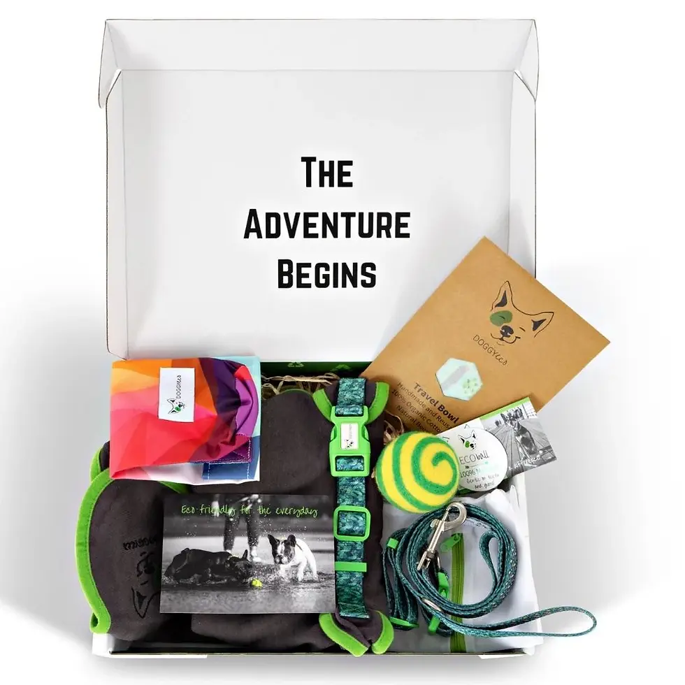 Thumbnail: Doggy Eco adventure gift set