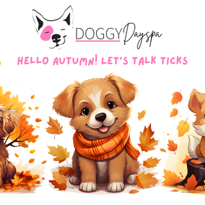Hello Autumn! Let’s Talk Ticks