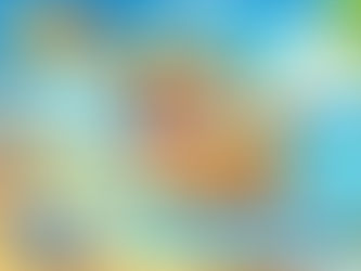 How to Prepare Your Dog for a Day Out at the Beach