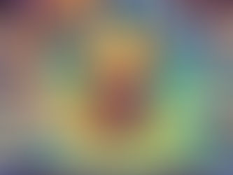 Preparing for a Cyclone with Pets in the Redlands