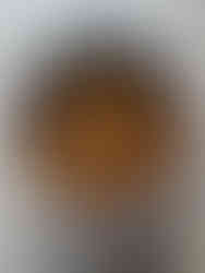 Loquat branches, cut up and ready for dyeing