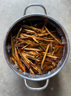 Loquat branches, cut up and ready for dyeing