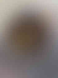 Loquat leaves after cooking for several days