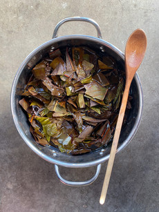 Loquat leaves after cooking for several days