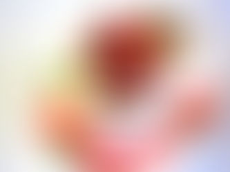 過去の活動