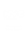 Visionaries Voices Award.png