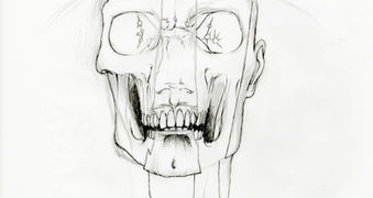 Etude anatomique de crâne humain