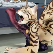 Gros plan sur un détail de l'illustration érotique gay intitulée "Cat'wink", la tête de Cat'wink et l'énorme dildo en forme de bite de cheval, bearwaterfish.com